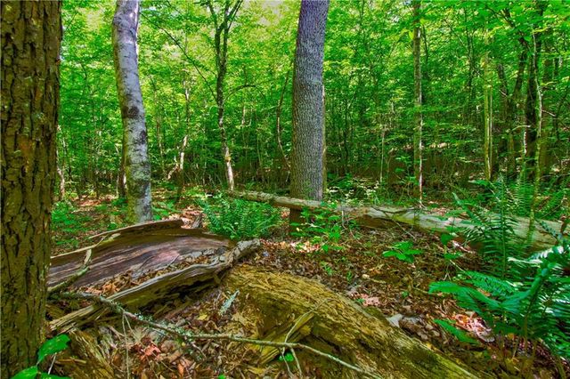 5.31 Tom Bell Odom Road, Dahlonega, GA 30533