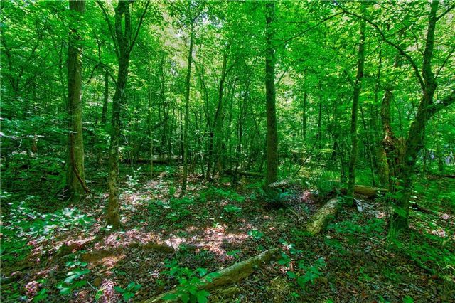 5.31 Tom Bell Odom Road, Dahlonega, GA 30533