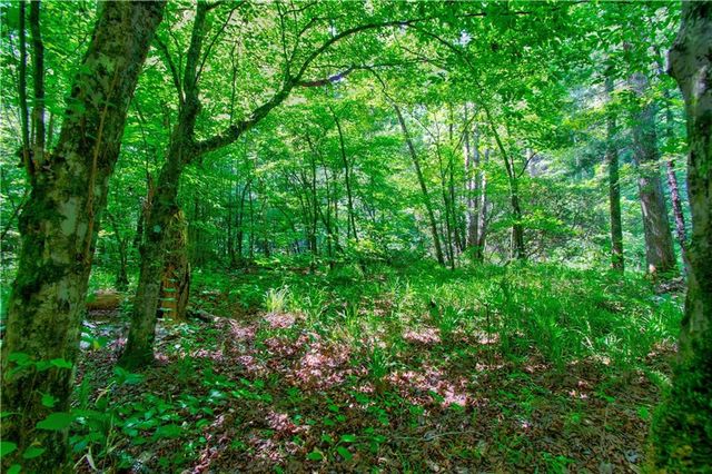 5.31 Tom Bell Odom Road, Dahlonega, GA 30533