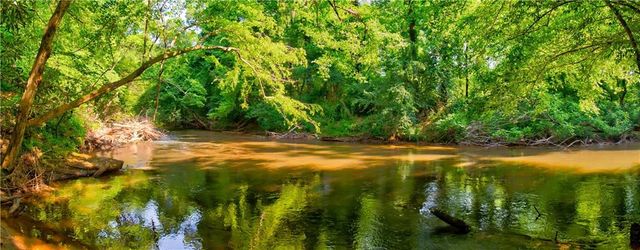 5.31 Tom Bell Odom Road, Dahlonega, GA 30533