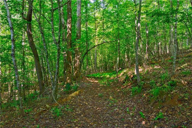 5.31 Tom Bell Odom Road, Dahlonega, GA 30533
