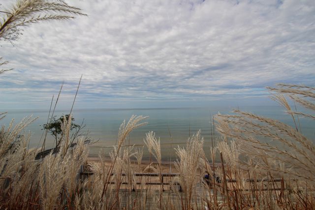 77709 18th Avenue, South Haven, MI 49090