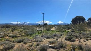 0 Valyermo Road, Pearblossom, CA 93553