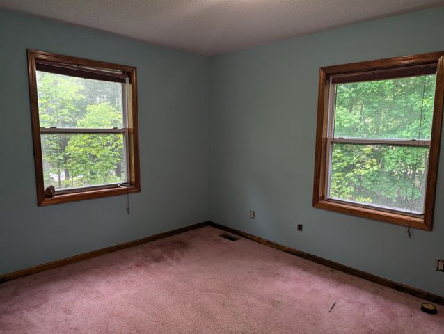 10203 Partridge Avenue, Lake, MI 48632