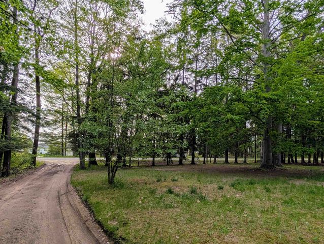 10203 Partridge Avenue, Lake, MI 48632