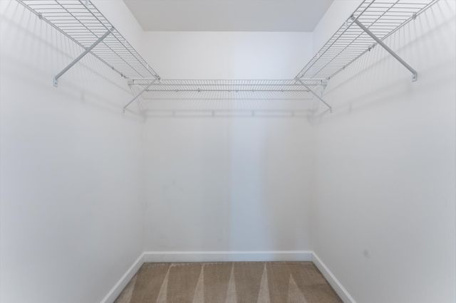 1736 Haleys Hope Ct, Nashville, TN 37209