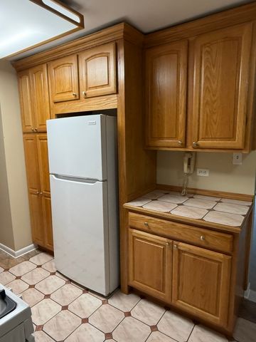 9520 Mayfield Avenue 212, Oak Lawn, IL 60453