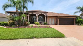 22523 WILLOW LAKES DRIVE, Lutz, FL 33549