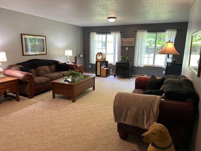 16051 Leisure Drive, Detroit Lakes, MN 56501