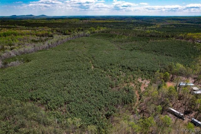 116.32 Acres Gilliam Mill Rd, Dillwyn, VA 23936