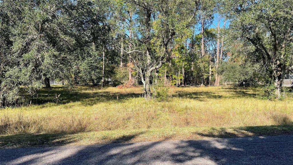 0 NW Boxwood At Britt Corner W, Brookside, TX 77581