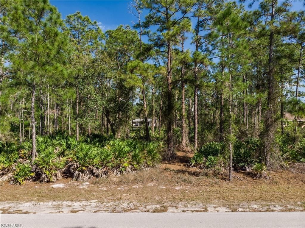 1610 Williams AVE, LEHIGH ACRES, FL 33972 — photo 3