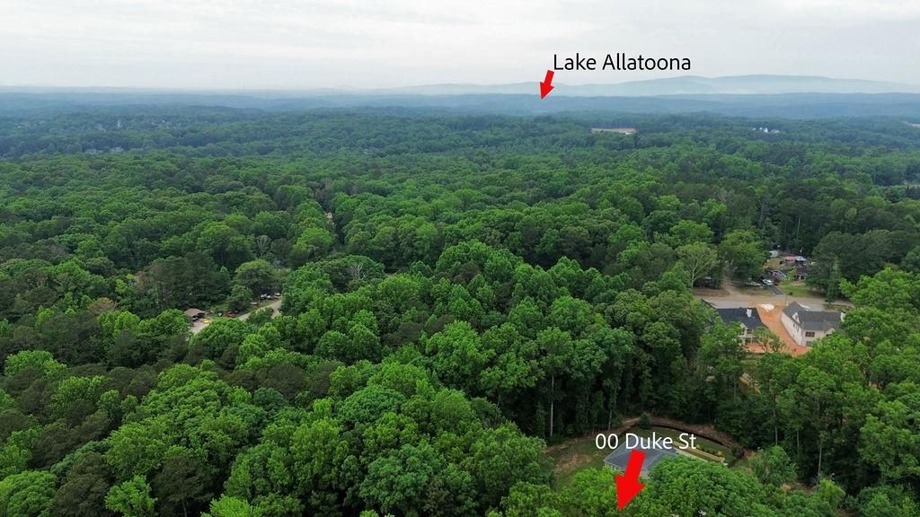 00 Duke Street, Canton, GA 30114