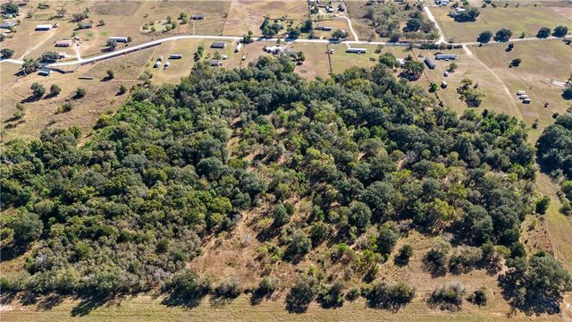 1976 Mustang Loop, Madisonville, TX 77864