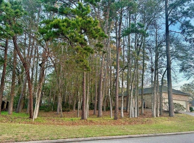 901 Longmire Road 51, Conroe, TX 77304