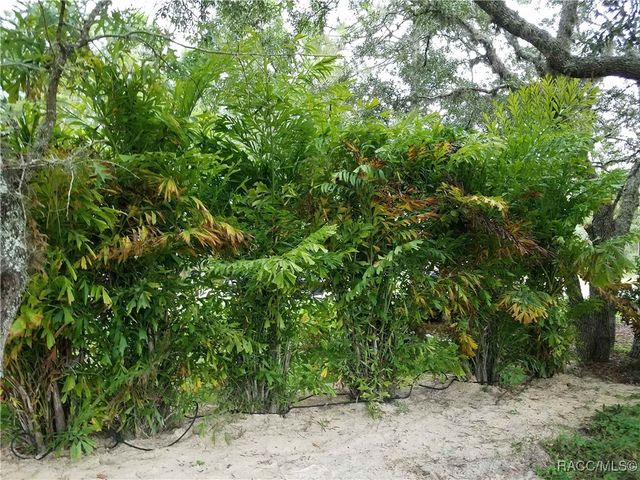 114 Corkwood Boulevard, Homosassa, FL 34446