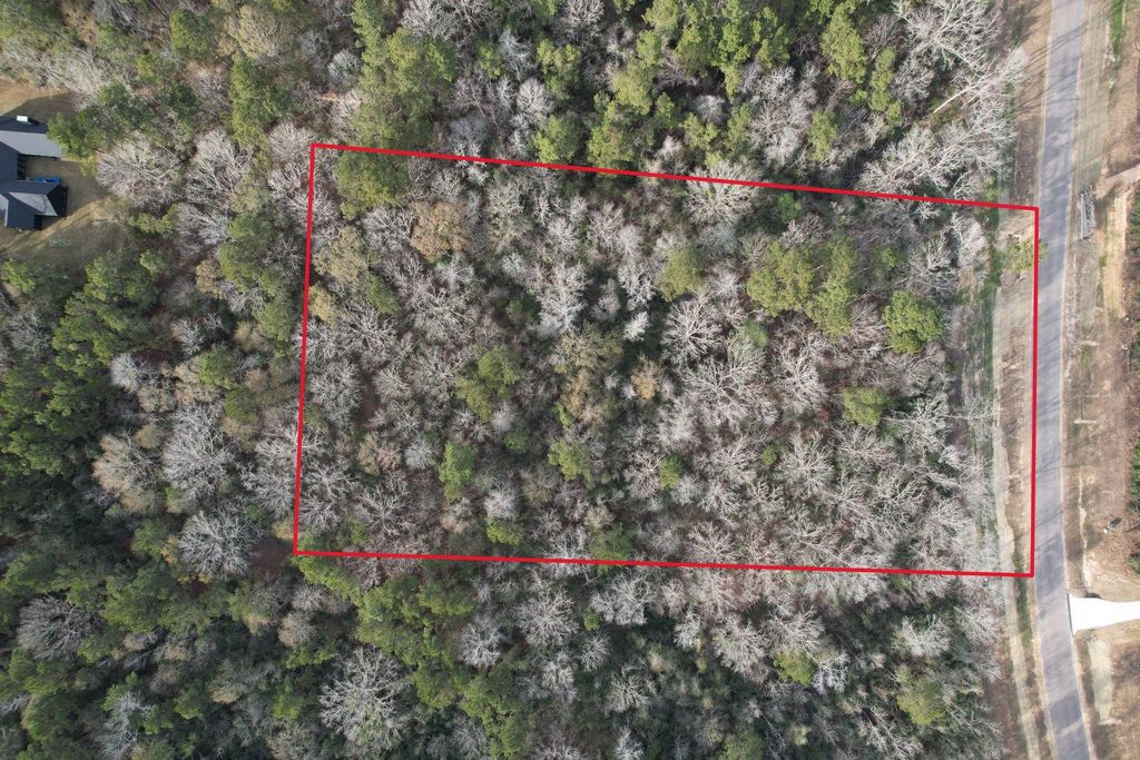 16157 Ridge Oak Road, Willis, TX 77378