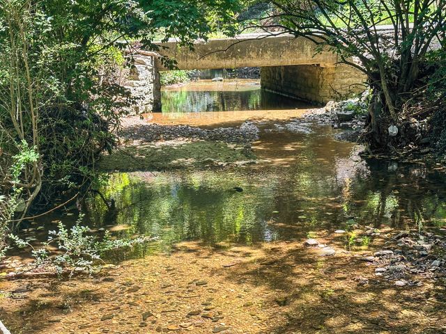 115 Westerly Dr, Nashville, TN 37221