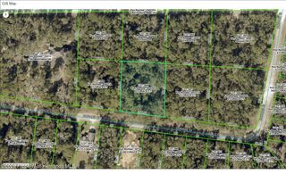 0 Corace Court, Webster, FL 33597