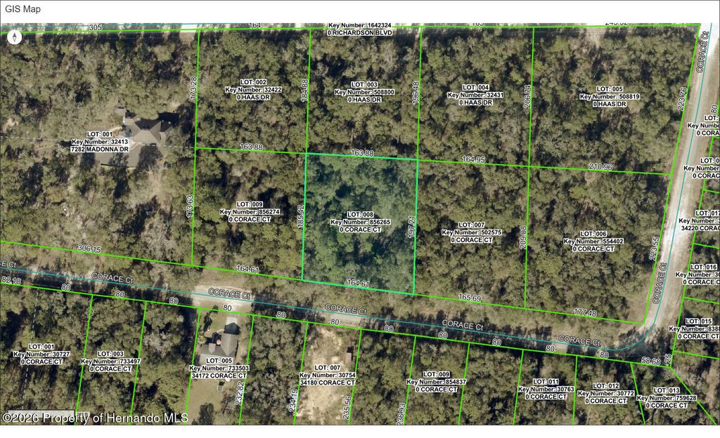 0 Corace Court, Webster, FL 33597