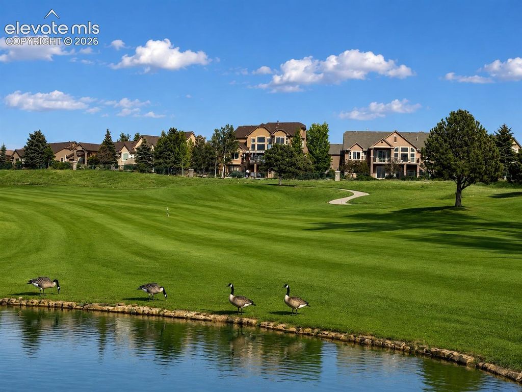 9952 Oak Knoll Terrace, Colorado Springs, CO 80920