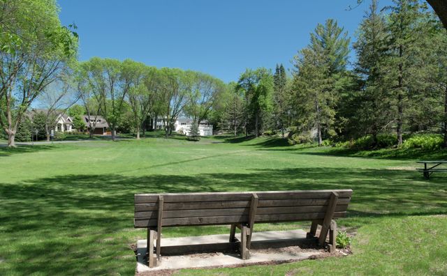 148X Ridgeview Lane, Wayzata, MN 55391