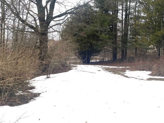 1201 Bailey Street, Beulah, MI 49616