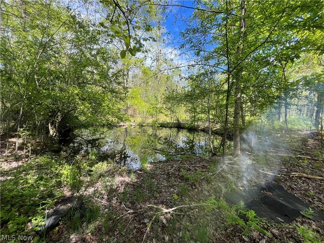 15829 Moseley Road, Madison, OH 44057