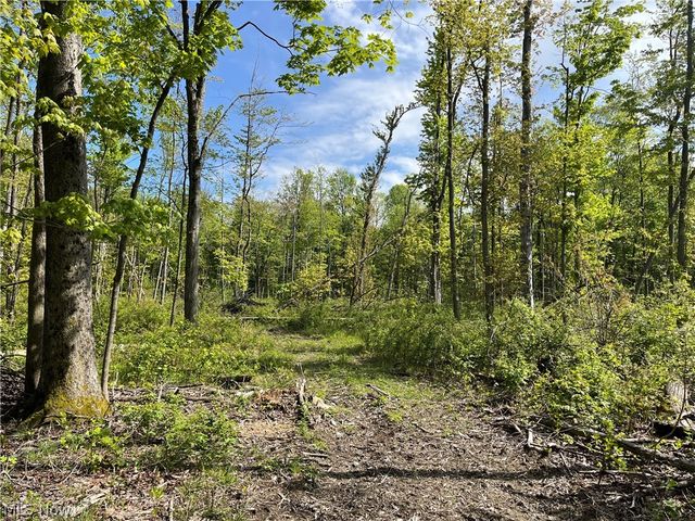 15829 Moseley Road, Madison, OH 44057