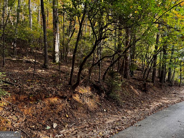 0 Skylake Road, Sautee Nacoochee, GA 30571