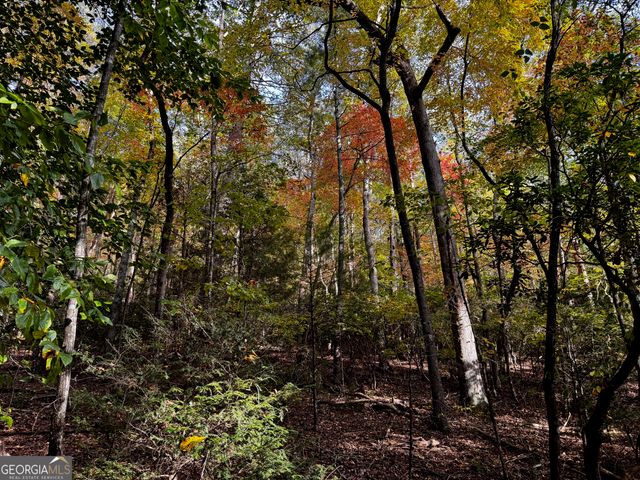 0 Skylake Road, Sautee Nacoochee, GA 30571