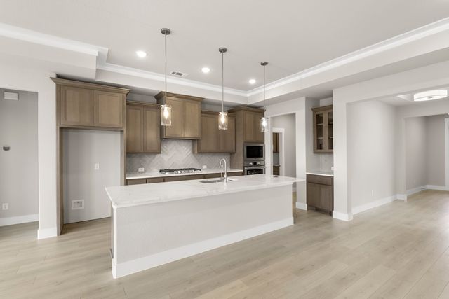 1908 Vittoria Lane, Little Elm, TX 75068