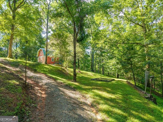 955 Lower Tails Creek Road, Ellijay, GA 30540