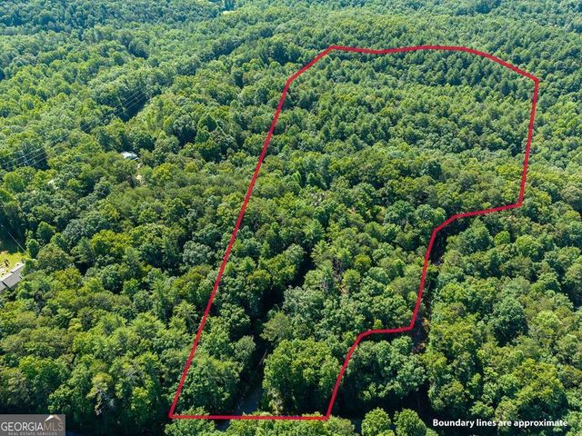 955 Lower Tails Creek Road, Ellijay, GA 30540