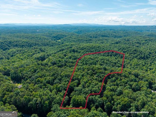 955 Lower Tails Creek Road, Ellijay, GA 30540