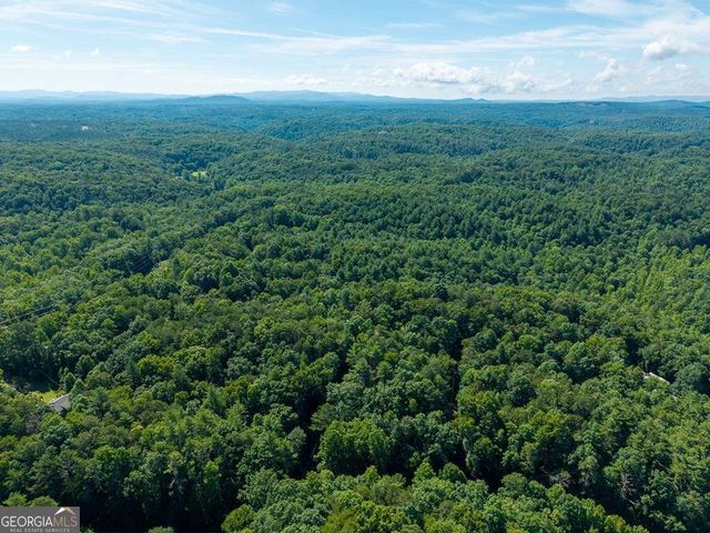 955 Lower Tails Creek Road, Ellijay, GA 30540