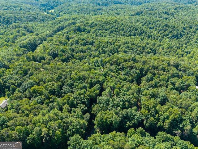 955 Lower Tails Creek Road, Ellijay, GA 30540
