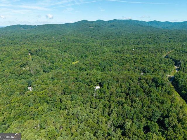 955 Lower Tails Creek Road, Ellijay, GA 30540