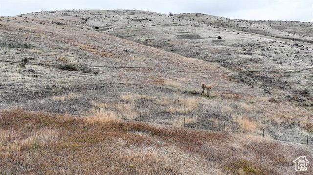 2075 E CANYON RD, Smithfield, UT 84335