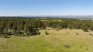 10324 Pine Song Place, Parker, CO 80138