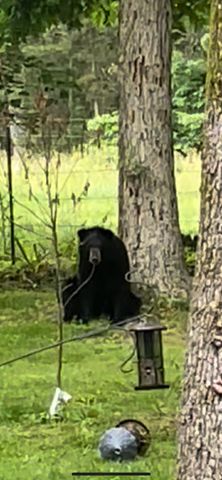 44469 State Hwy Am, Cabool, MO 65689