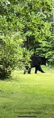 44469 State Hwy Am, Cabool, MO 65689