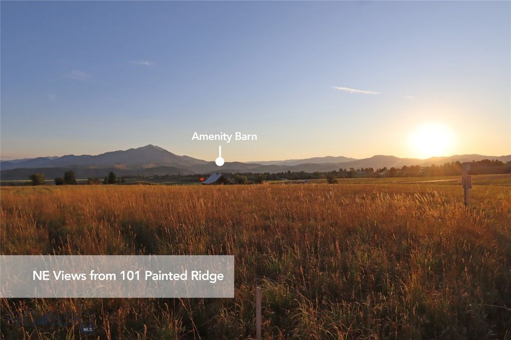101 Painted Ridge, Bozeman, MT 59715 photo 14