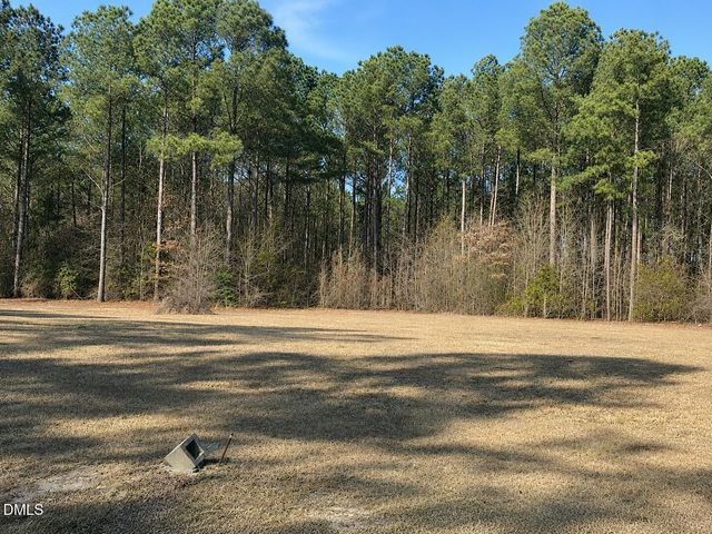 290 Raynor Sands Drive, Dunn, NC 28334
