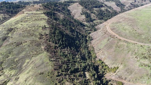 TBD Hidden Canyon Lot 4, Kooskia, ID 83539