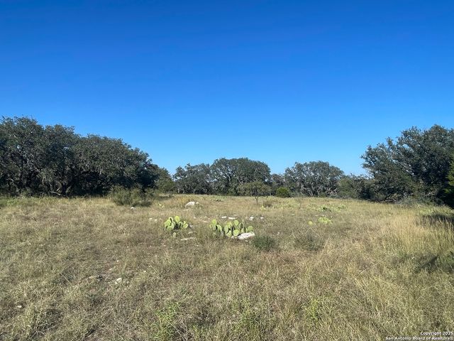 3200 Elm Springs Trl, Menard, TX 76859