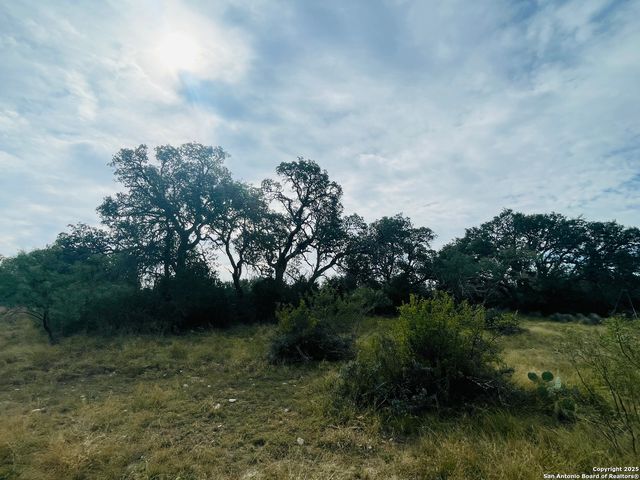 3200 Elm Springs Trl, Menard, TX 76859