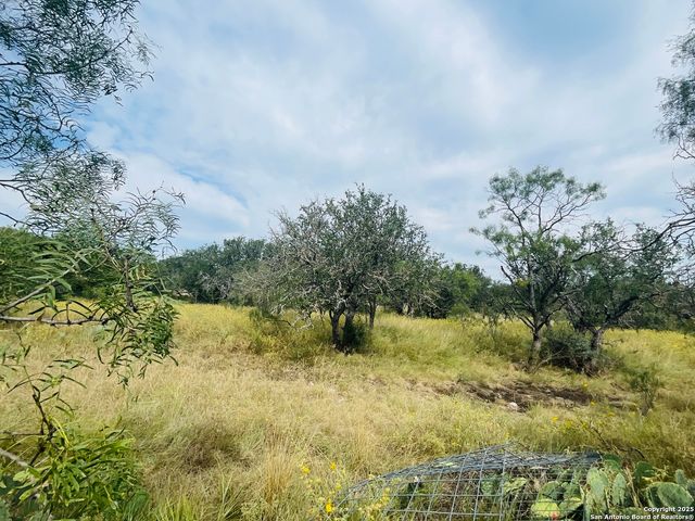 3200 Elm Springs Trl, Menard, TX 76859