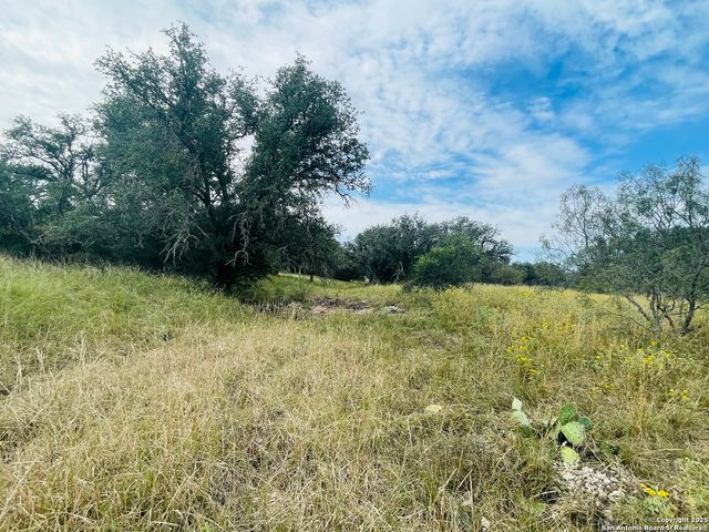 3200 Elm Springs Trl, Menard, TX 76859