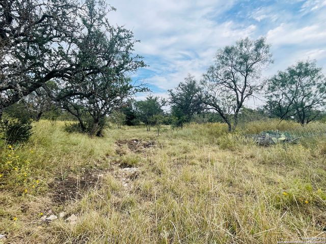 3200 Elm Springs Trl, Menard, TX 76859